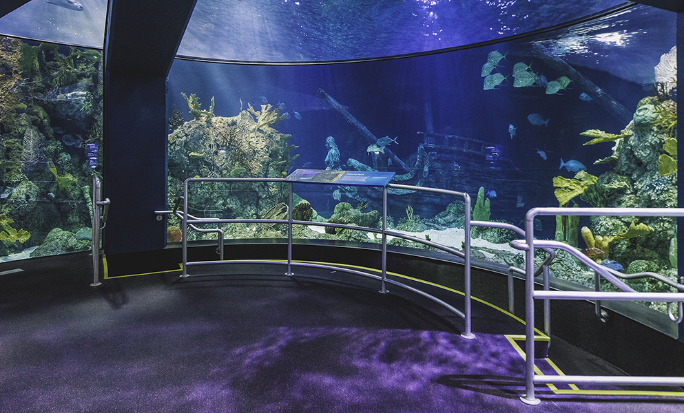 Moody Gardens Aquarium Led Recessed Lighting Pendant Cylinders