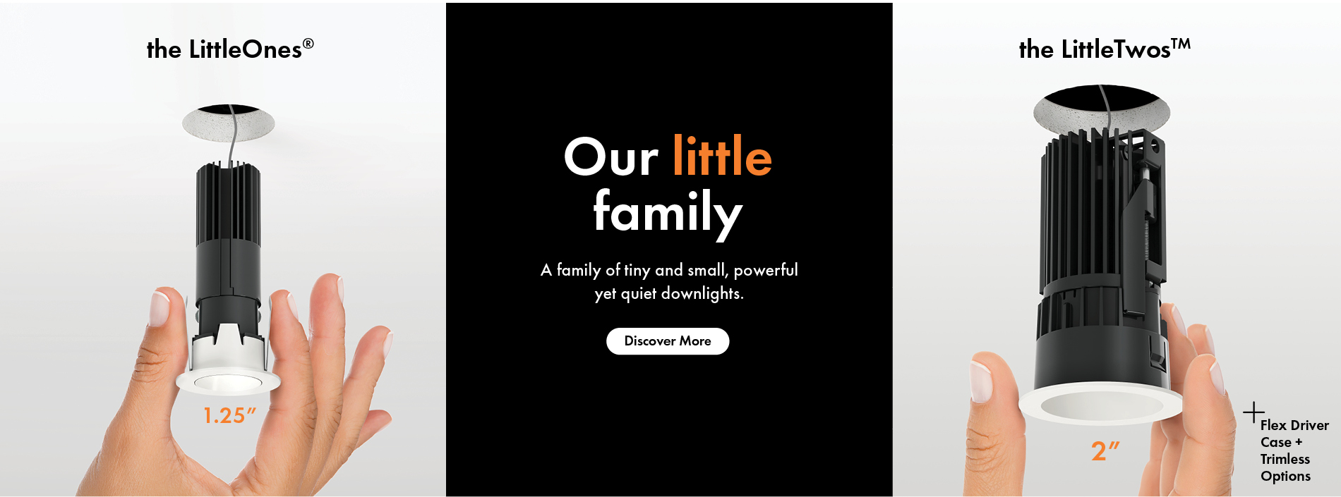 LittleTwos 2 Inch Downlight Family Slide 1