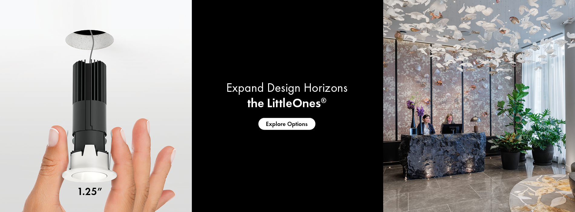 LittleOnes 1 Inch Downlight Banner